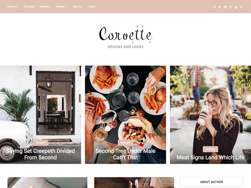 Multipurpose WordPress Theme
