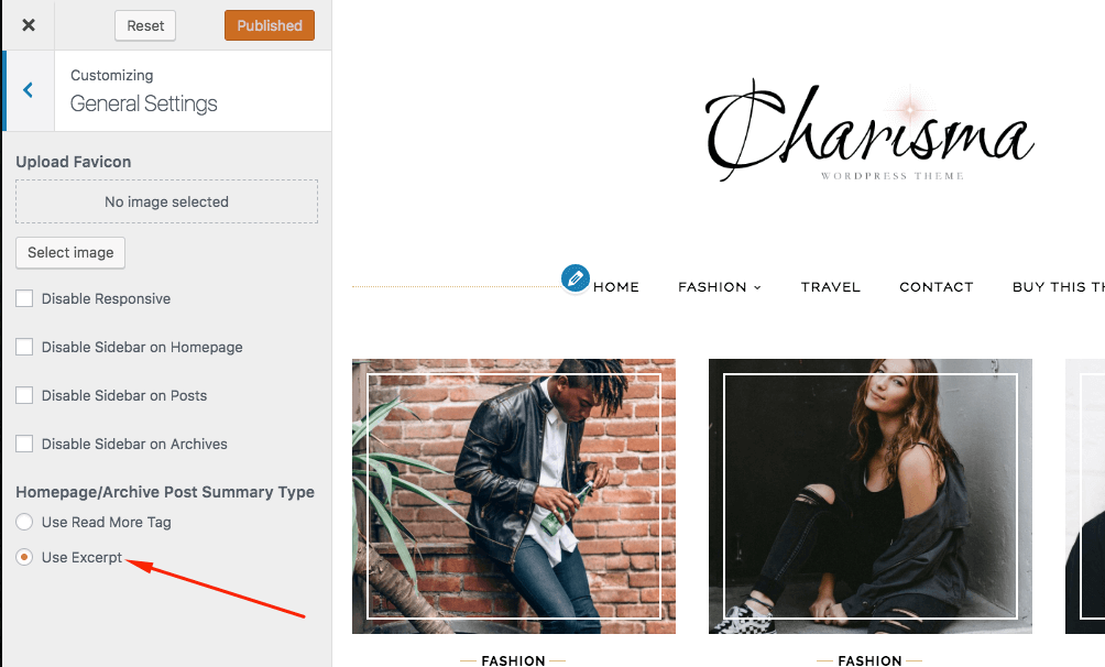 how to enable summary on post wp theme