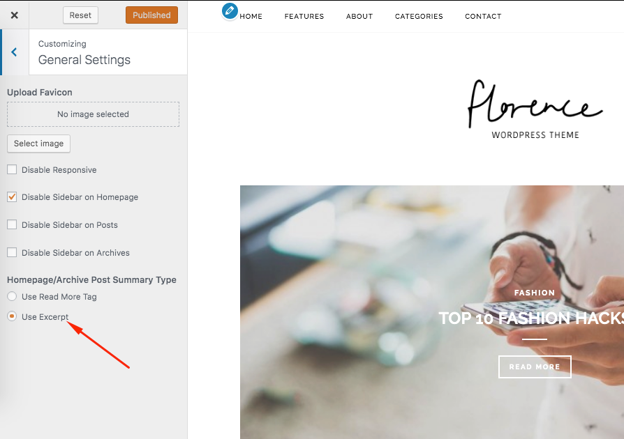 use excerpt florence wp theme vinethemes