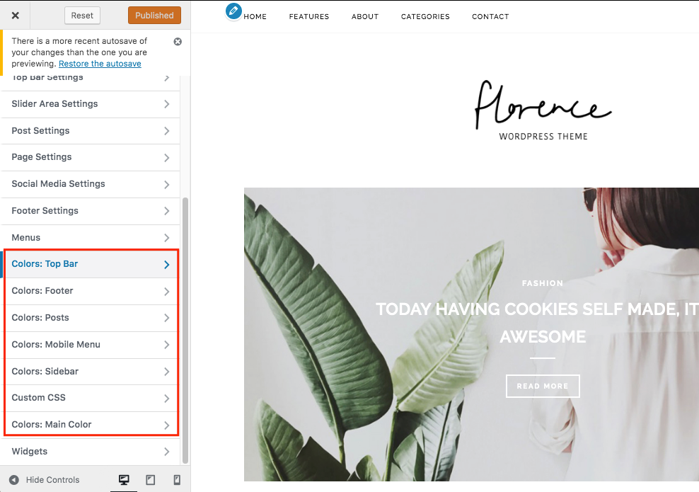 color options wp theme florence