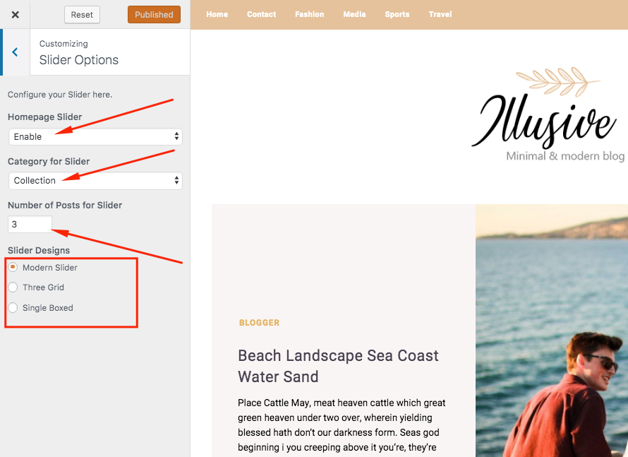 slider options for theme wp