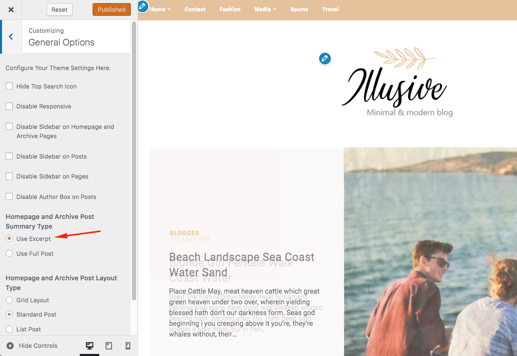 wp theme excerpt