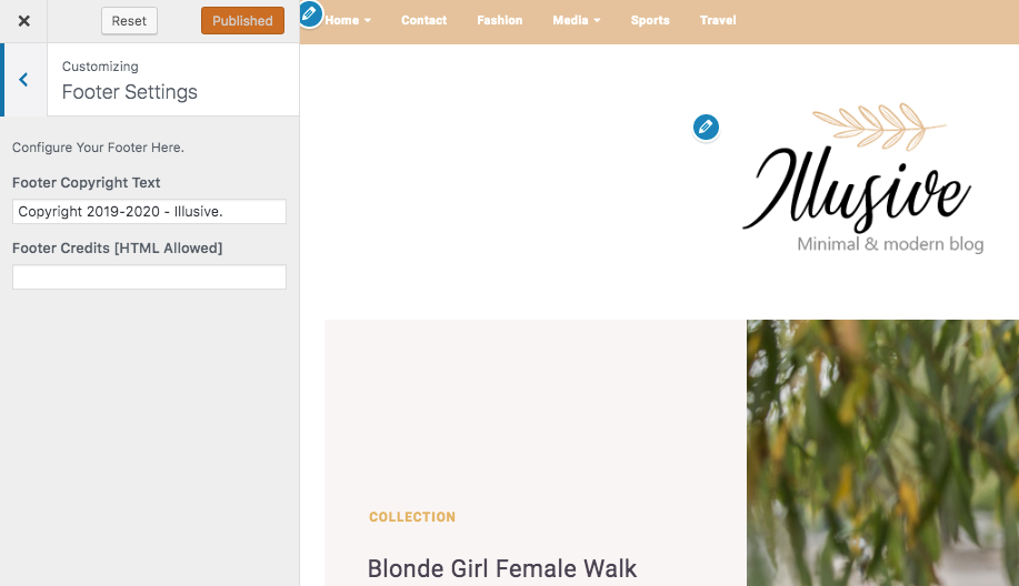 footer settings wp theme vinethemes