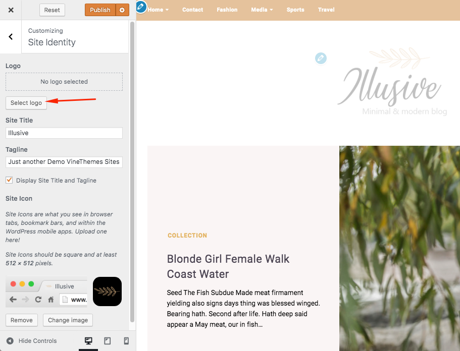 how to upload logo in the wp theme