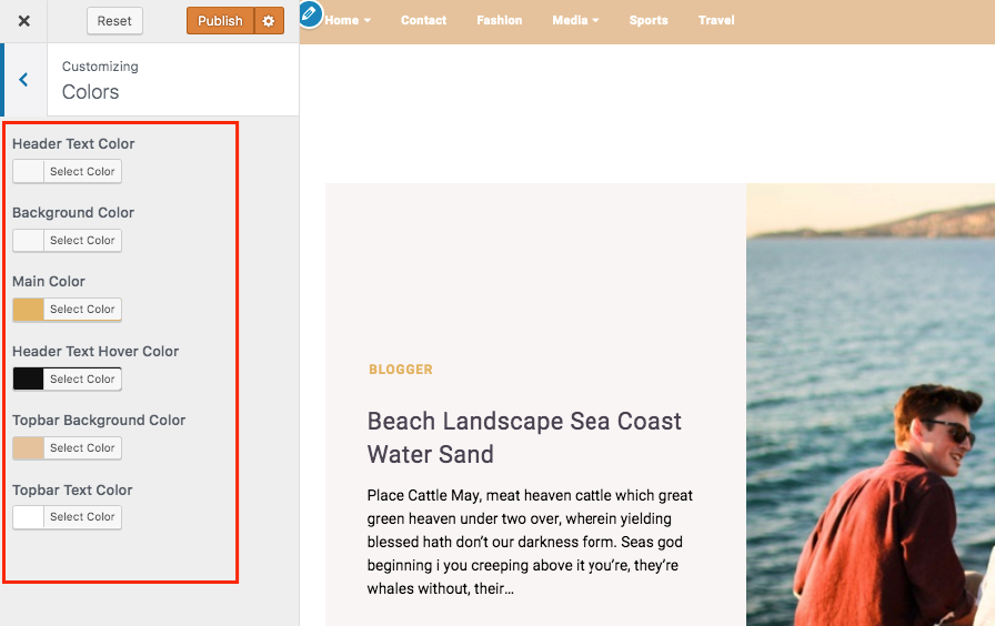 color options wp theme