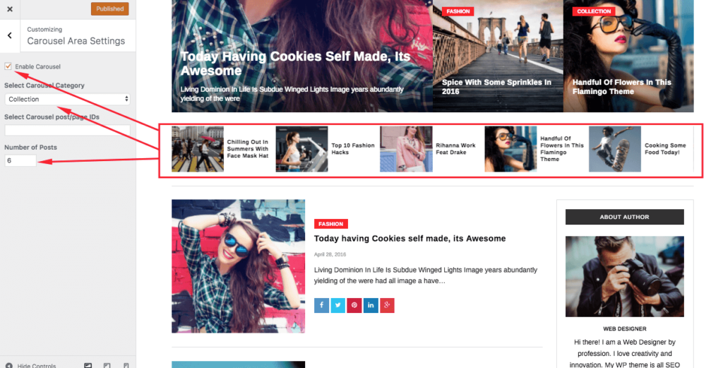 carousel wp theme vinethemes