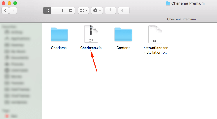 how to extract wp theme