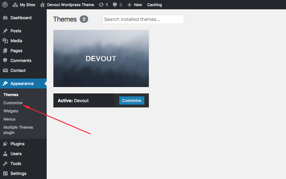 Customizer WordPress Theme
