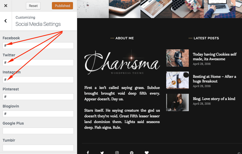 social media settings in wp theme