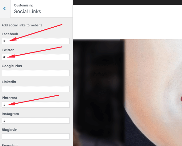 social wp theme vinethemes corvette