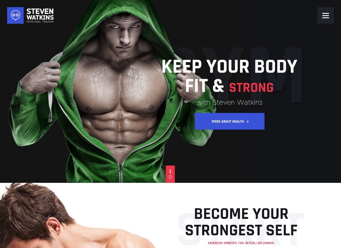 steven watkins wordpress themes