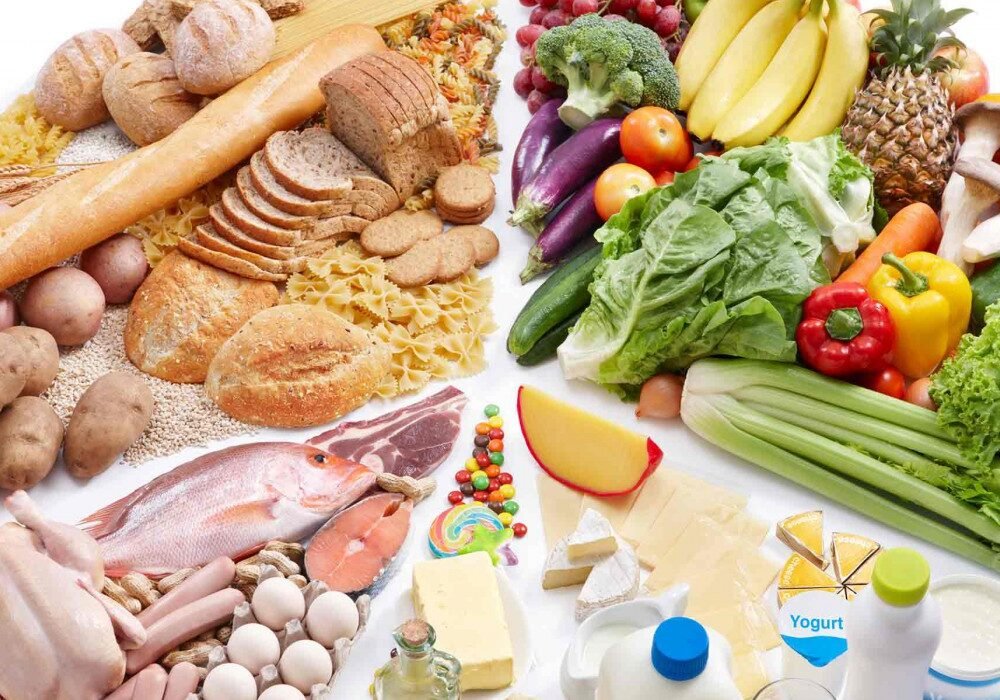health and nutrition wordpress themes
