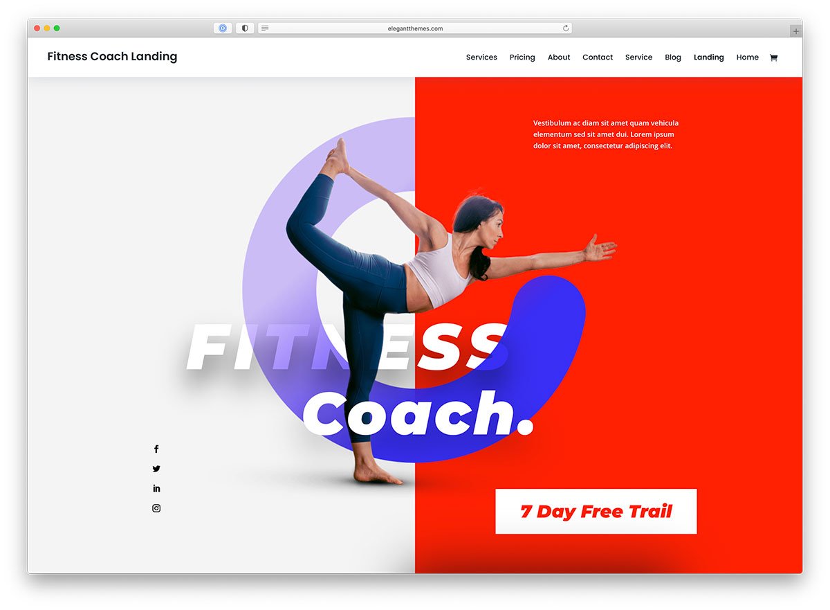 divi WordPress sports theme