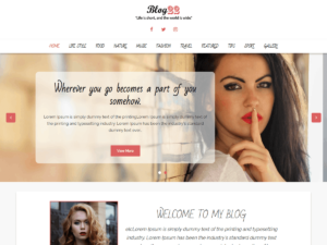 Blog22 Modern WordPress Theme