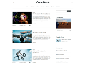 Core News WordPress Theme