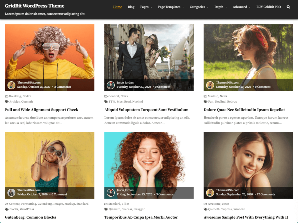 grid wordpress theme