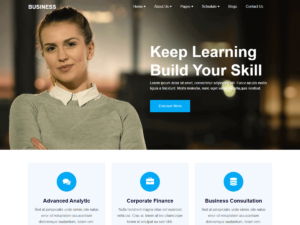 Responsive Techup WordPress Theme
