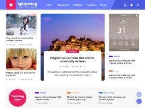 Black Magazine WordPress Theme