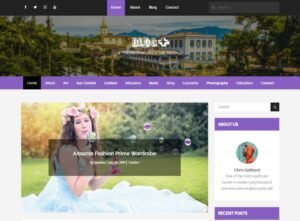 Blog Plus Perfect WordPress Theme
