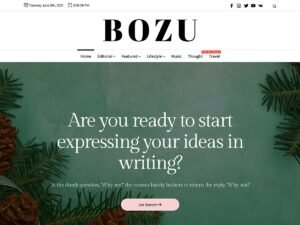 Bozu Blogger WordPress Theme