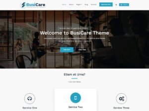 BusiCare Business WordPress Theme