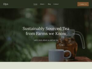 Elyn WordPress Theme