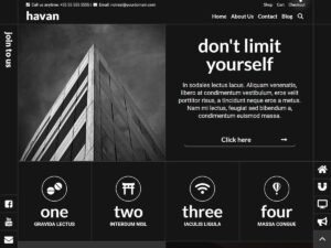 Havan Portfolio WordPress Theme