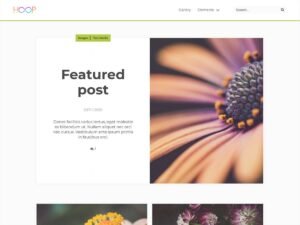 Hoop Clean WordPress Theme