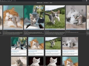 Magma22 WordPress Theme