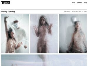 Tendo WordPress Theme