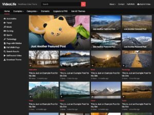 VideoLife WordPress Theme