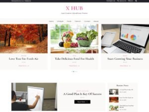 X Hub Blog WordPress Theme