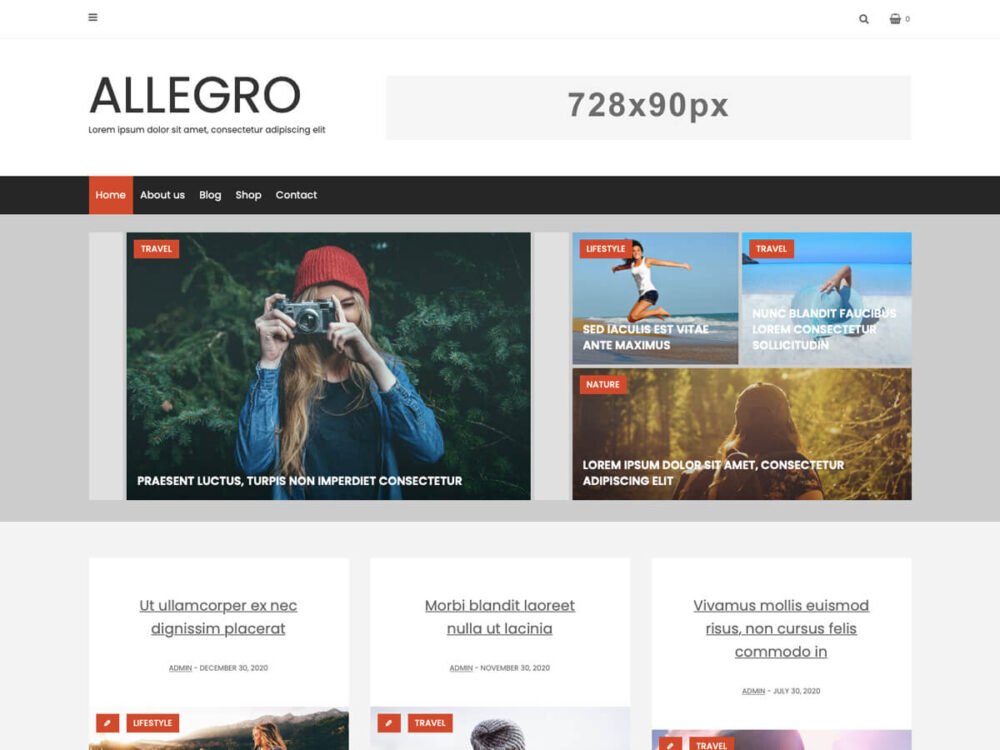 clean wordpress theme