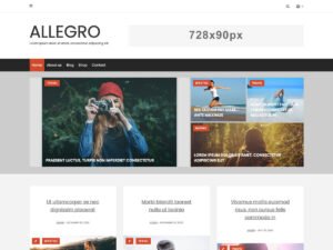 Allegro Clean WordPress Theme