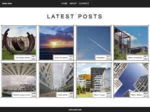 8rise WordPress Theme