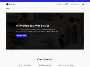 Ayyash WordPress Theme