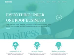 Professional Techup WordPress Theme