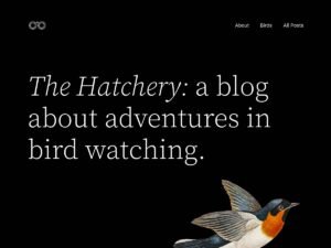 Twenty Twenty-Two WordPress Theme