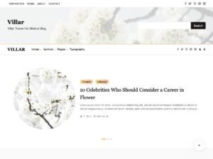 Villar WordPress Theme