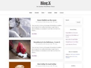 Blog X WordPress Theme