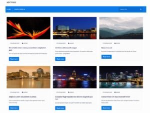 Nextpage WordPress Theme