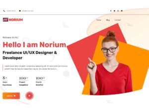 NoriumPortfolio WordPress Theme