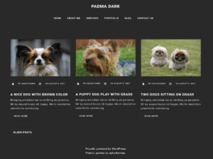 Padma Dark WordPress Theme