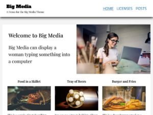 Big Media WordPress Theme