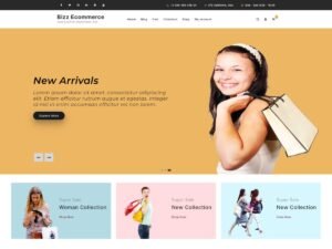 Bizz Ecommerce WordPress Theme