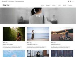 Blog Story WordPress Theme