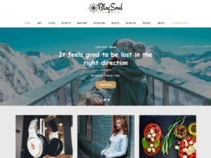 BlogSoul WordPress Theme