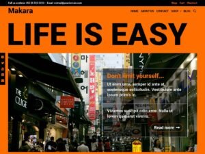 Makara WordPress Theme