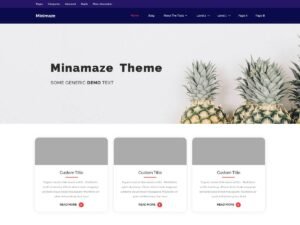 Minamaze News WordPress Theme