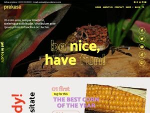 Prakasa WordPress Theme